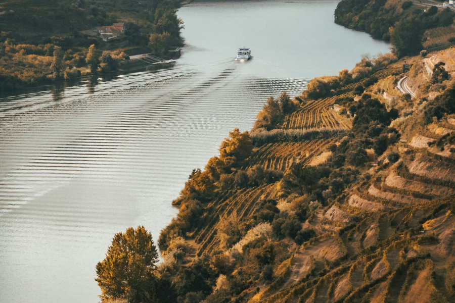 wine-cruise-douro