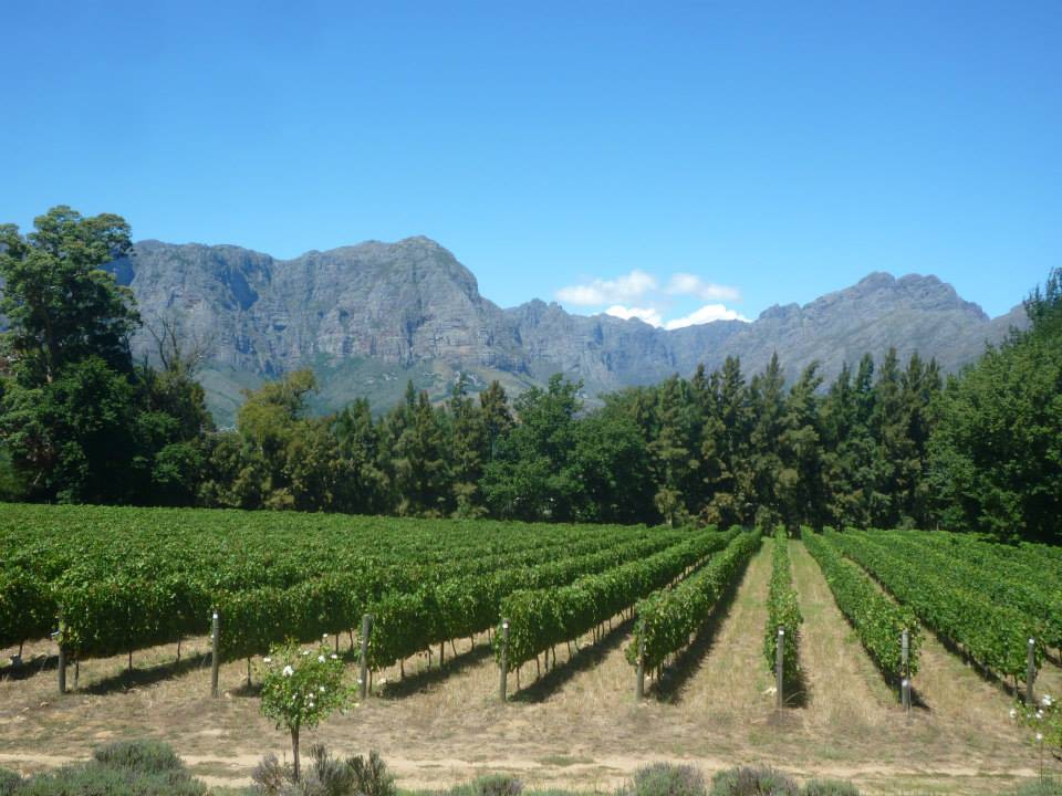 Stellenbosch