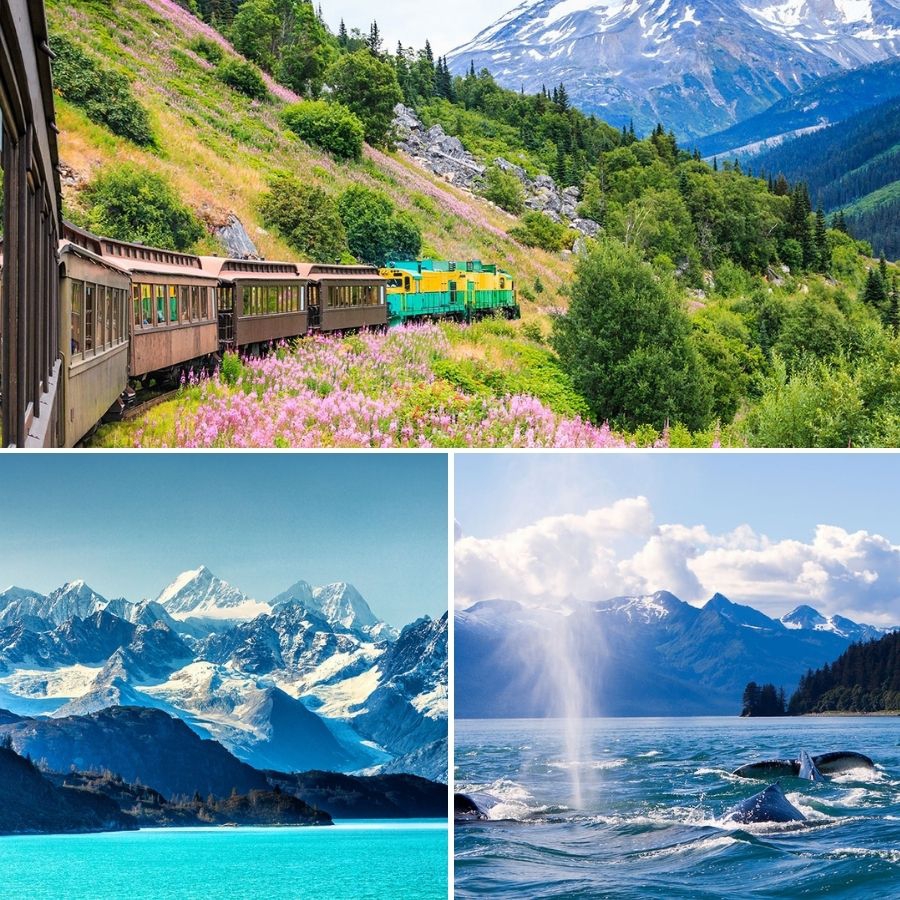 Alaska Expedition Cruise