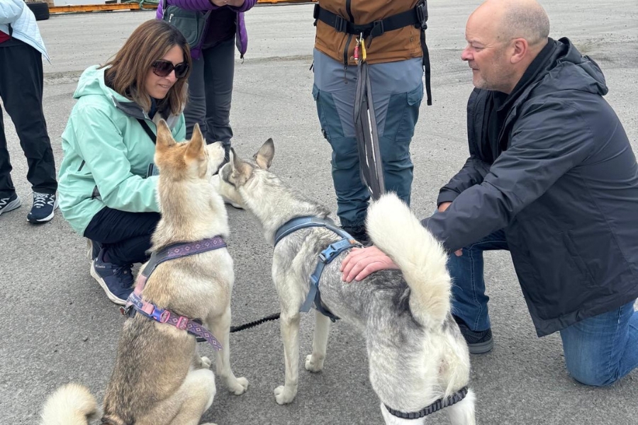 Meeting huskies