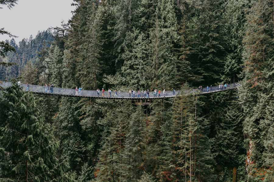 capilano-suspension-bridge-vancouver-canada