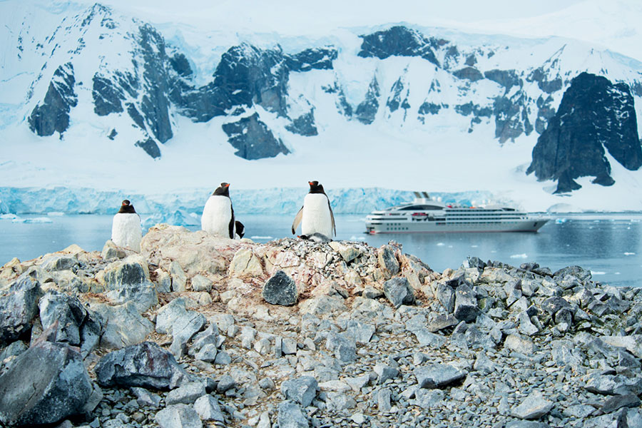 Ponant, Antarctica