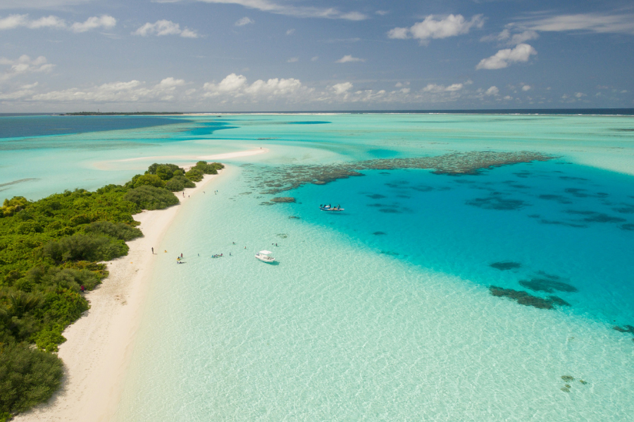 caribbean