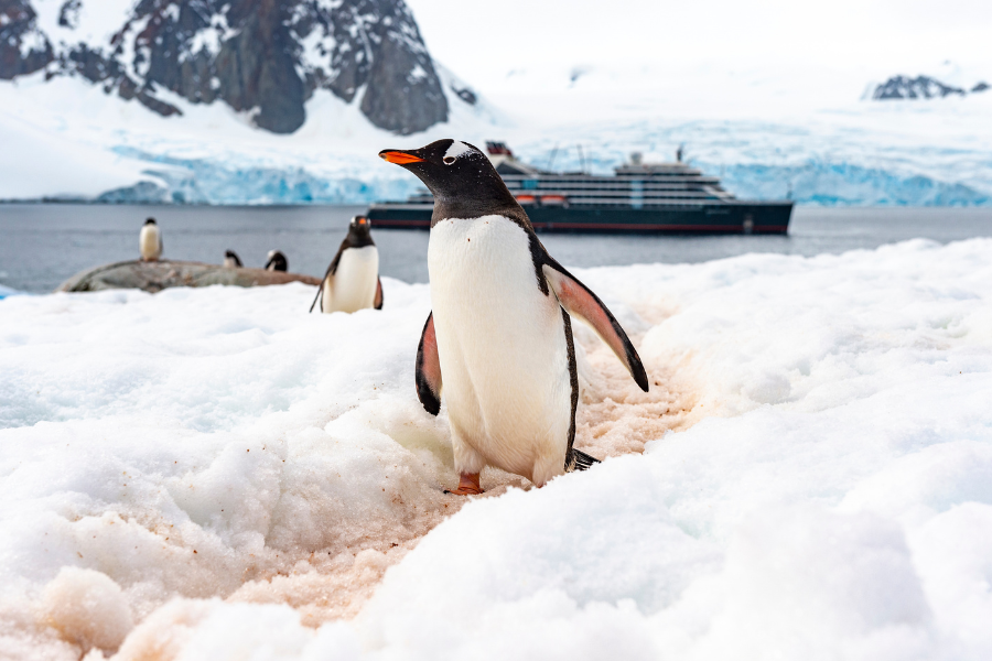 seabourn-antarctica