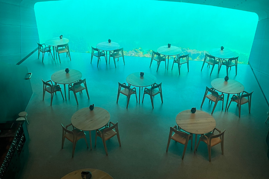 dining-experience
