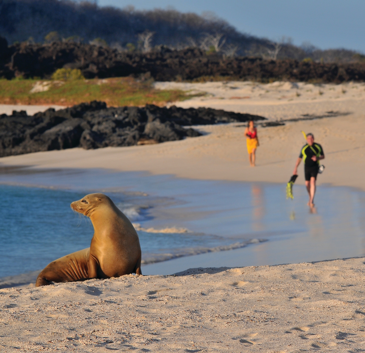 Galapagos