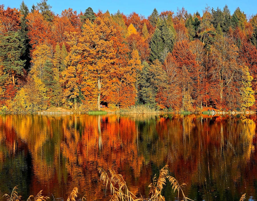 october-cruising-autumn-scene