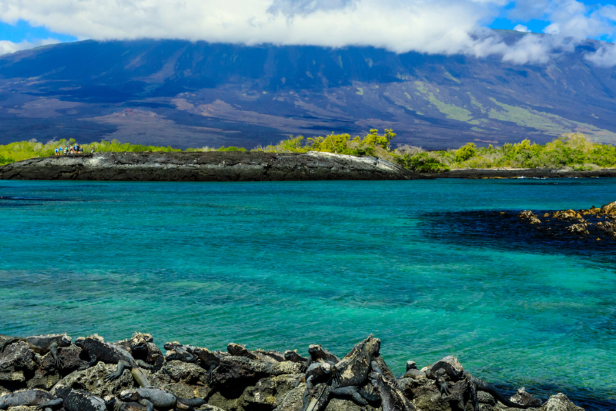 galapagos-islands