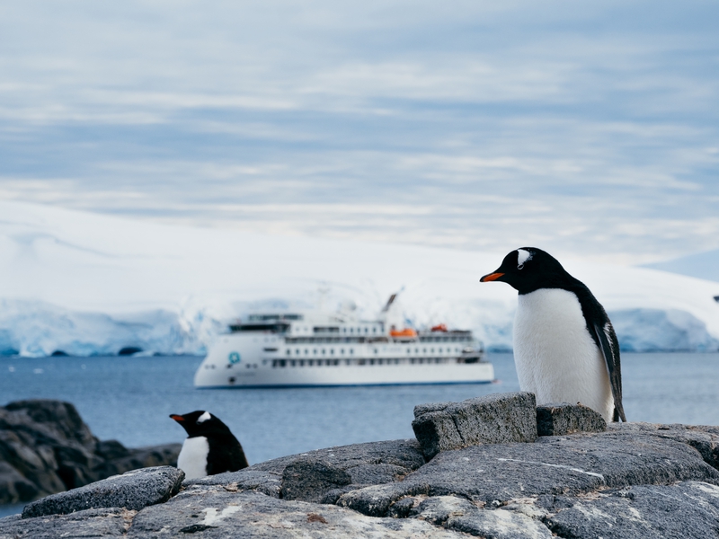 Antarctica, Aurora Expeditions