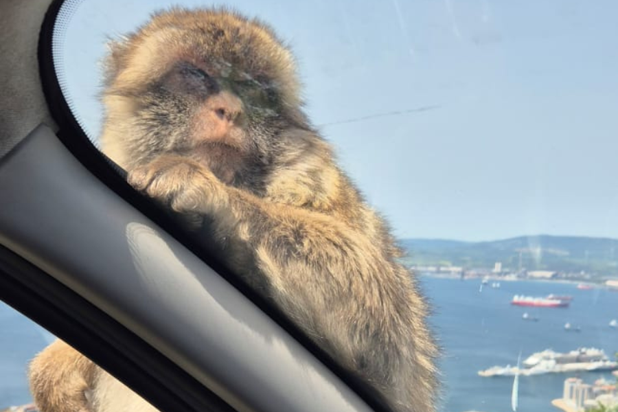 gibraltar
