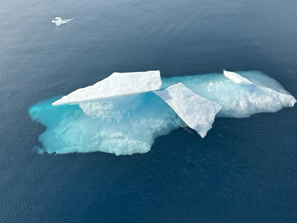 Icebergs Greenland