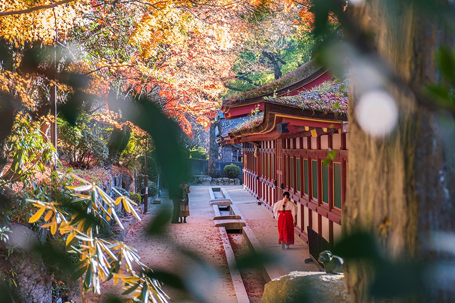 october-cruising-japan