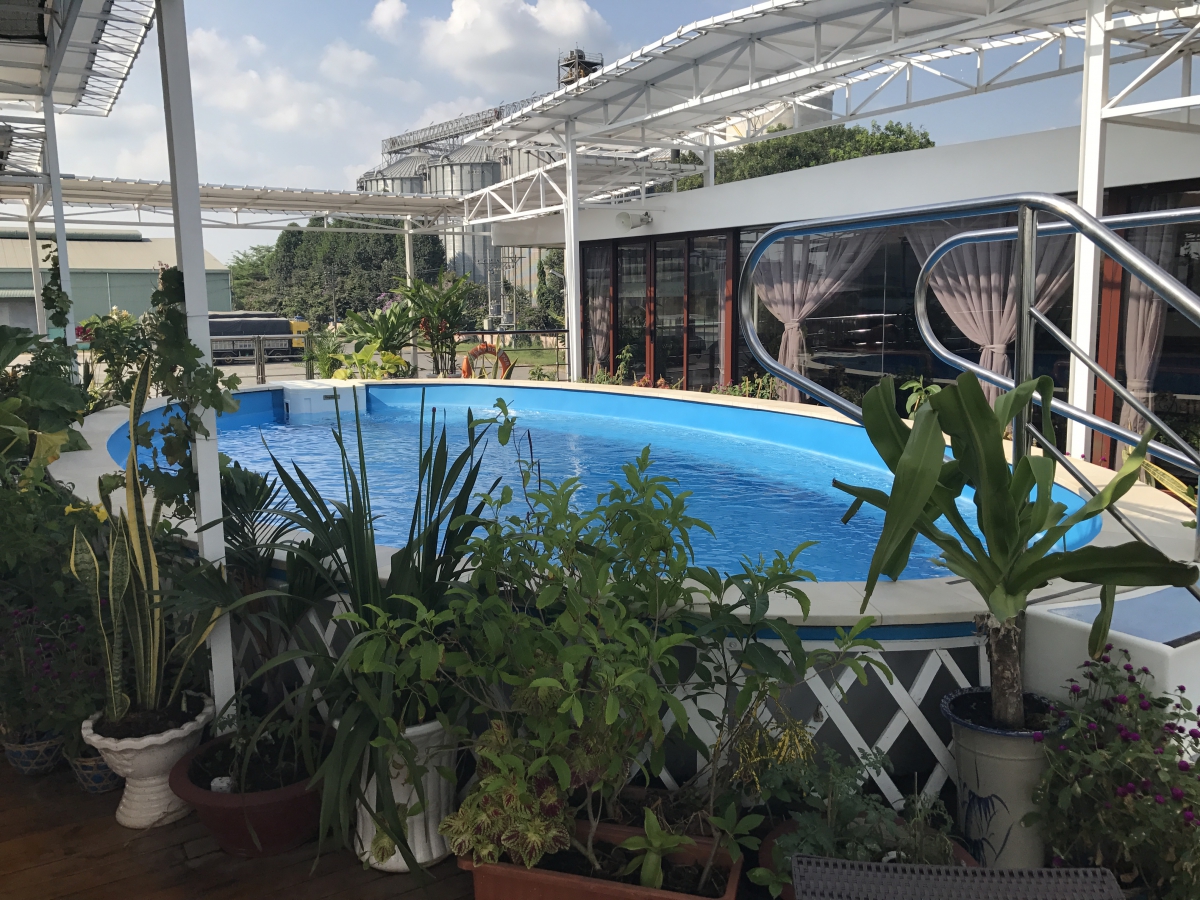 AmaDara Pool Deck