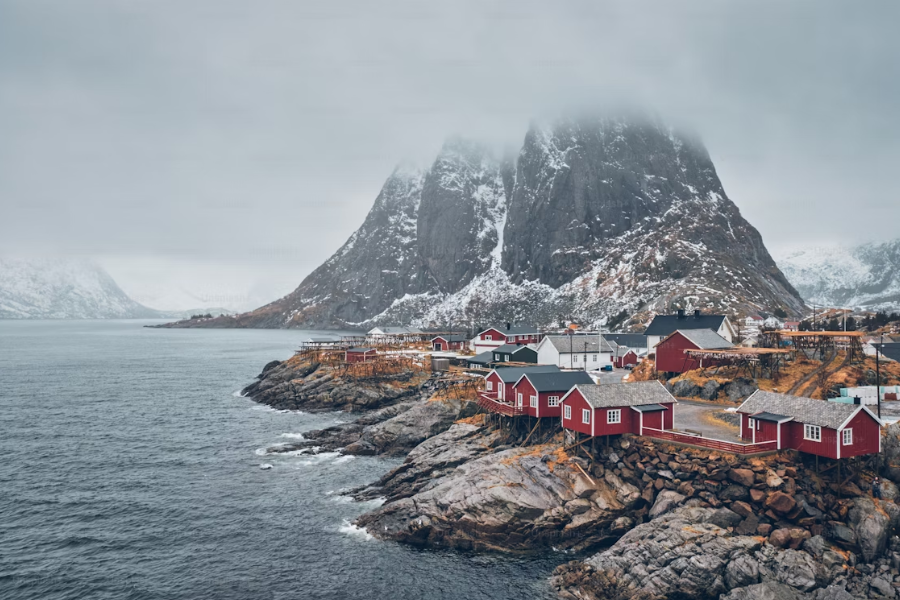 arctic